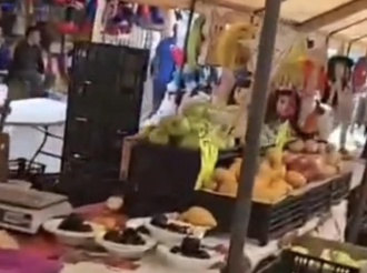 Alimentate Sanamente